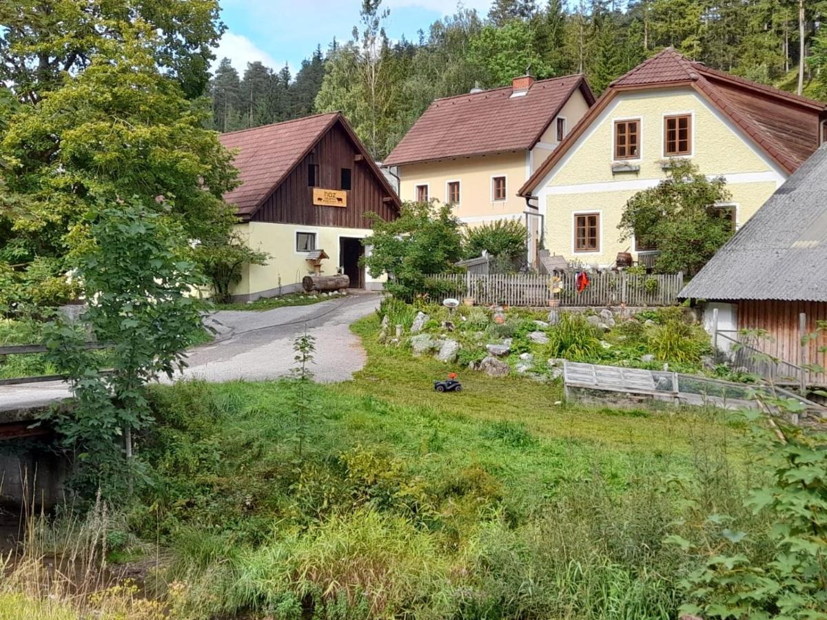 Apartment Nazbauerhof Rohr im Gebirge Exteriér fotografie